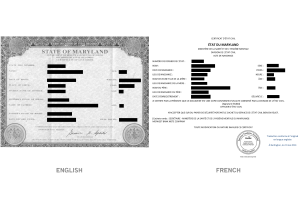 Personal Document Translation Sample - Birth Certificate